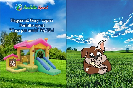 Надувной батут Perfetto Sport Casa per amici PS-504